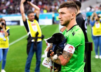 У Румунії футболісти вийшли на поле з бездомними собаками