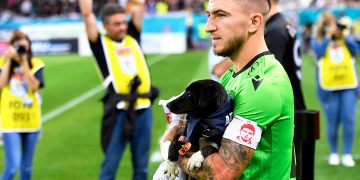 У Румунії футболісти вийшли на поле з бездомними собаками