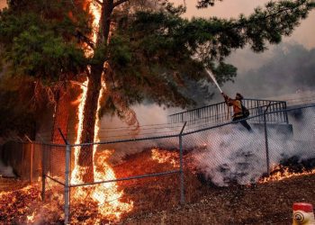 Google Карти тепер відображатимуть лісові пожежі в реальному часі