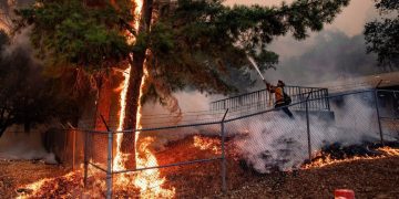 Google Карти тепер відображатимуть лісові пожежі в реальному часі