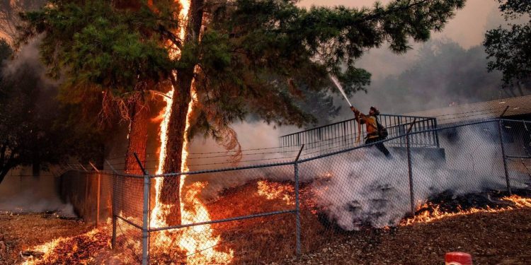 Google Карти тепер відображатимуть лісові пожежі в реальному часі