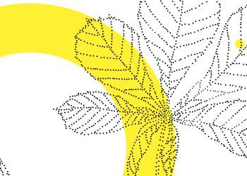 11-ий міжнародний медіафорум KYIV MEDIA WEEK спільно з Glance Mediametrie презентує аналітичну доповідь та дискусію «Світовий ландшафт ринку VoD: нова динаміка»