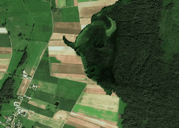 Зелений Żubr у національному парку Польщі, або як боротися зі зміною клімату