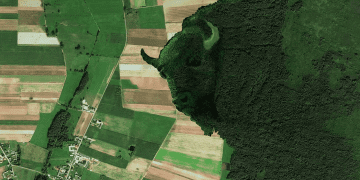 Зелений Żubr у національному парку Польщі, або як боротися зі зміною клімату