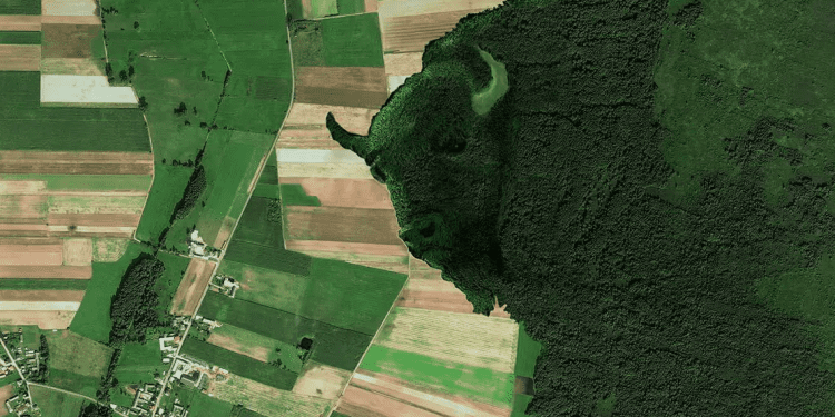 Зелений Żubr у національному парку Польщі, або як боротися зі зміною клімату