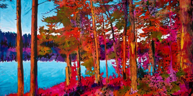 Дивовижні пейзажі від Steve Driscoll