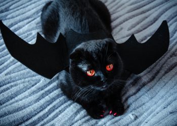 Оновлення Snapchat: як зустріти Halloween