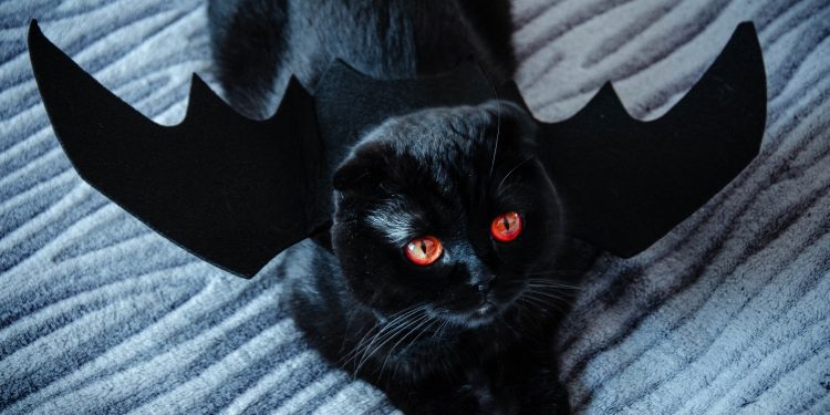 Оновлення Snapchat: як зустріти Halloween