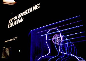 5 психологічних технік, які тренують ваш мозок бути більш інноваційним