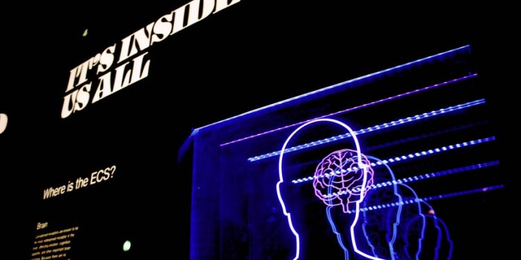 5 психологічних технік, які тренують ваш мозок бути більш інноваційним