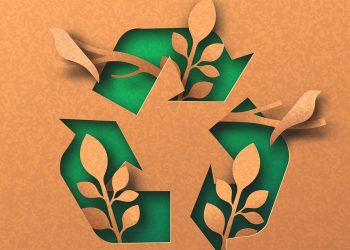 Mastercard: Чому маркетинг «втілює в життя екологічність»