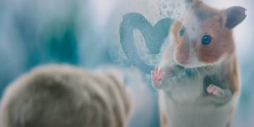 Albert Heijn створила крихітну пухнасту історію кохання до свят