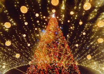 Projector Institute випустив фотобанк світлин столиці на новорічні свята