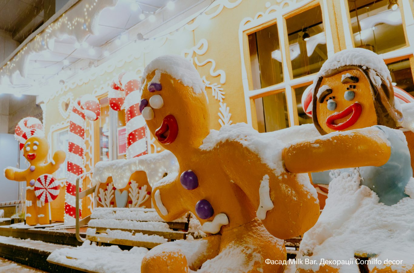 Projector Institute випустив фотобанк світлин столиці на новорічні свята