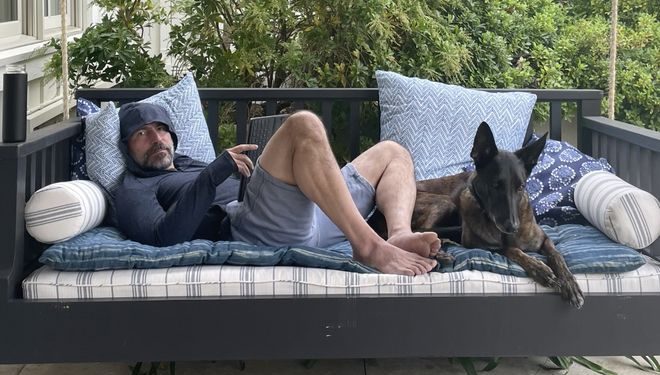 Чому генеральний директор Uber просить вибачення перед собаками?