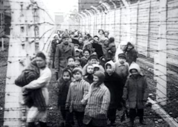 Апокаліптична реклама музею Голокосту уявляє, як фейкові новини можуть переписати історію