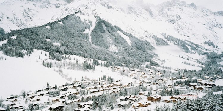 Arturo + Bamboo: альпійська романтика на сторінках нової фотокниги