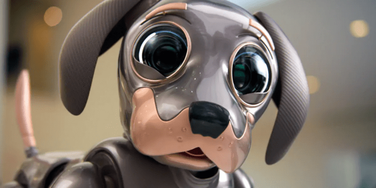 Robo Dog: тизер реклами Kia ставить притулки для тварин у центрі уваги