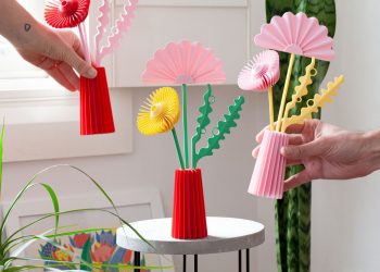 3D-друковані біопластикові квіти та кактуси Wow Mountain