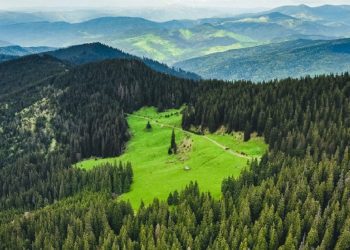 Офіційний акаунт України в Instagram та студія FFFACE.ME запустили флешмоб #inlovewithU