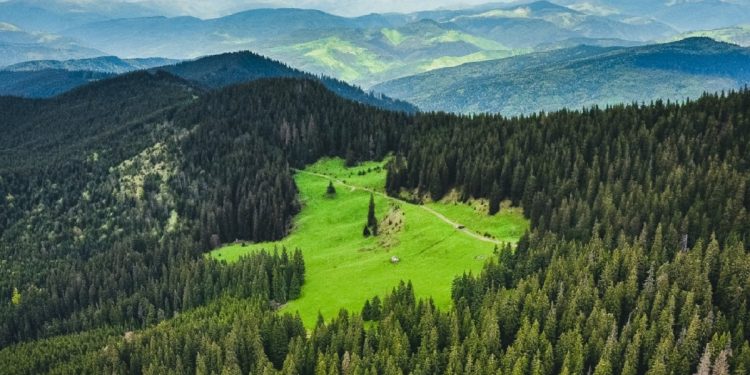 Офіційний акаунт України в Instagram та студія FFFACE.ME запустили флешмоб #inlovewithU