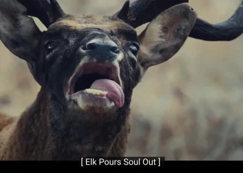 Реклама Jeep зі співаючими тваринами стає ще кращою, якщо увімкнути субтитри