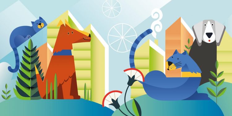 Фора: добра кава на мільйон