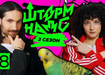 Дизайн-система для Кабміну України: креативники в шоу ШТОРМНАДО розробили айдентику для всіх Міністерств