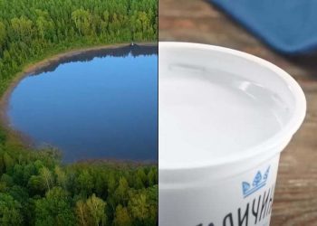 Як подорослішала «Галичина»: від ілюстрацій до крафтового фотоконтенту