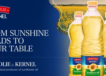 MAKE SENSE та Kernel: експансія українського креативу в Нідерландах