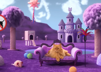 MasterZoo представив рекламну кампанію про сни пухнастих особистостей