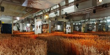 У Києві відкрилася виставка Ukraine WOW: «Оскар», BAFTA, Кубок УЄФА, абетка Нарбута, вагон злуки 1919 року і багато іншого